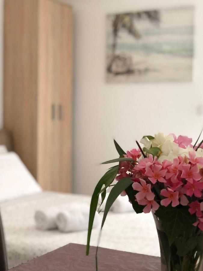 Апартаменты Gregovic Family Apartments Петровац-18