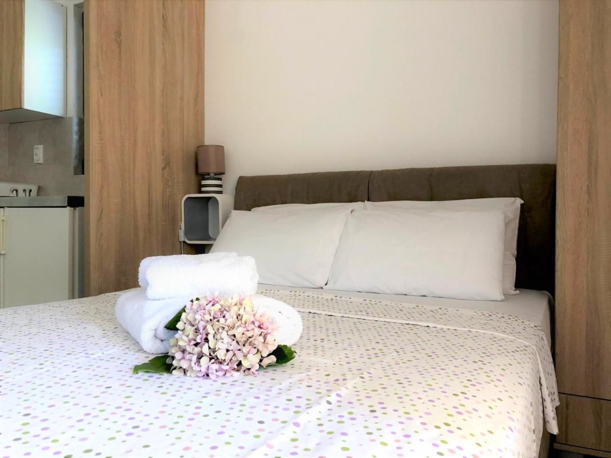 Апартаменты Gregovic Family Apartments Петровац-6