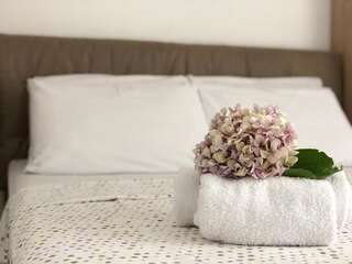 Апартаменты Gregovic Family Apartments Петровац Номер-студио с балконом-4