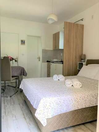 Апартаменты Gregovic Family Apartments Петровац Номер-студио с балконом-8