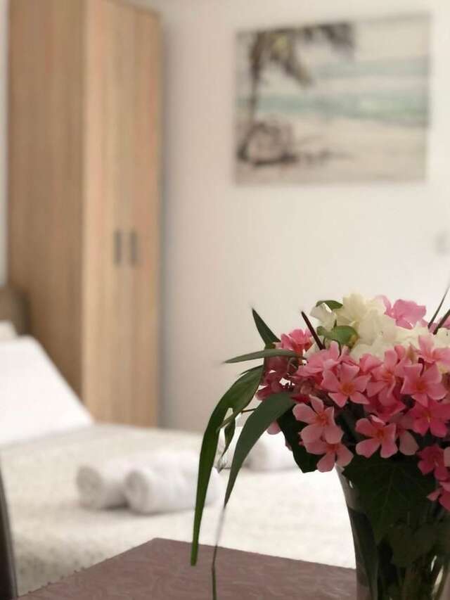 Апартаменты Gregovic Family Apartments Петровац-17