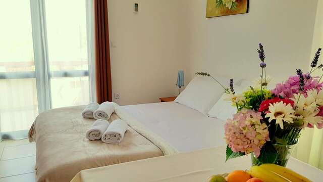 Апартаменты Gregovic Family Apartments Петровац-44