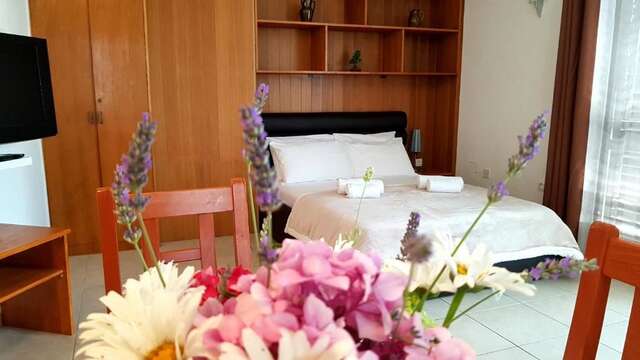 Апартаменты Gregovic Family Apartments Петровац-52